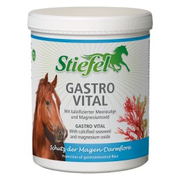 Stiefel Gastro Vital 1kg