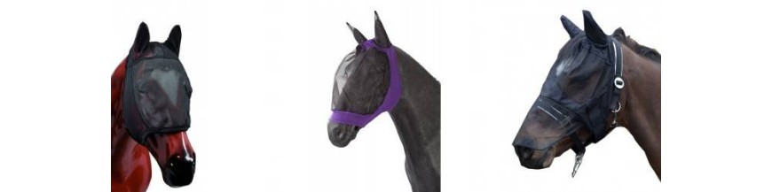 Bitless bridles